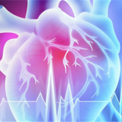 Advanced imaging 2024: Interventional cardiac imaging